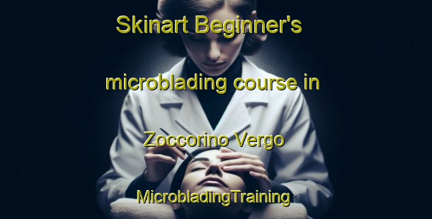 Skinart Beginner's microblading course in Zoccorino Vergo | #MicrobladingTraining #MicrobladingClasses #SkinartTraining-Italy