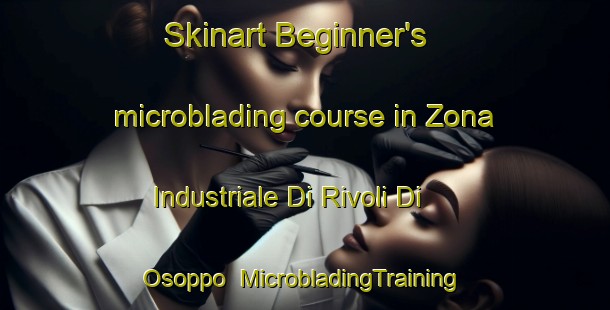 Skinart Beginner's microblading course in Zona Industriale Di Rivoli Di Osoppo | MicrobladingTraining | MicrobladingClasses | SkinartTraining-Italy
