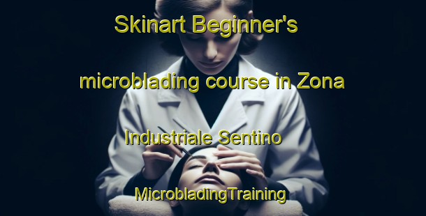 Skinart Beginner's microblading course in Zona Industriale Sentino | #MicrobladingTraining #MicrobladingClasses #SkinartTraining-Italy