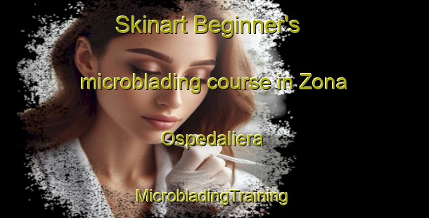 Skinart Beginner's microblading course in Zona Ospedaliera | #MicrobladingTraining #MicrobladingClasses #SkinartTraining-Italy