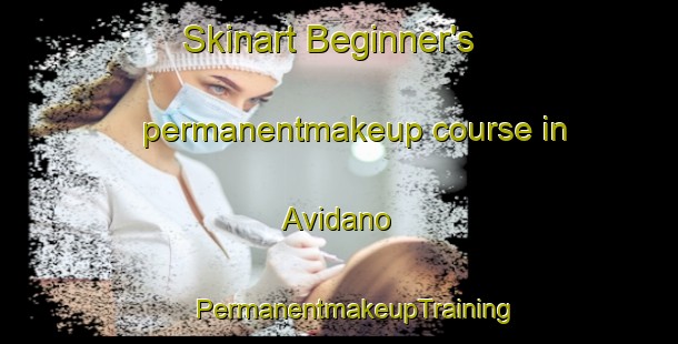 Skinart Beginner's permanentmakeup course in Avidano | #PermanentmakeupTraining #PermanentmakeupClasses #SkinartTraining-Italy