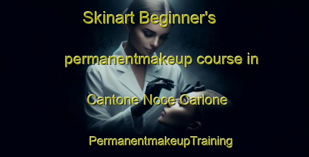 Skinart Beginner's permanentmakeup course in Cantone Noce Carlone | #PermanentmakeupTraining #PermanentmakeupClasses #SkinartTraining-Italy