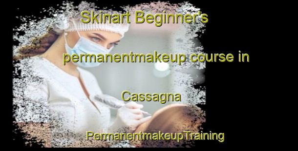 Skinart Beginner's permanentmakeup course in Cassagna | #PermanentmakeupTraining #PermanentmakeupClasses #SkinartTraining-Italy