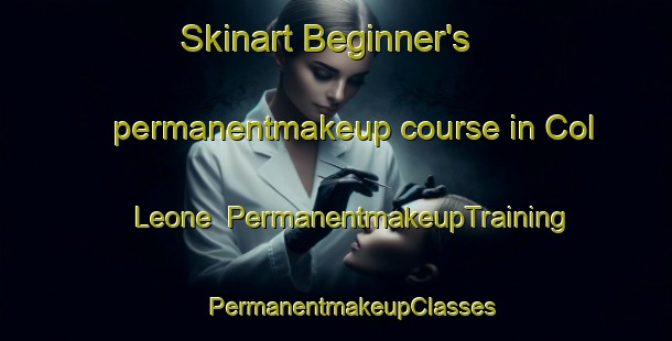 Skinart Beginner's permanentmakeup course in Col Leone | #PermanentmakeupTraining #PermanentmakeupClasses #SkinartTraining-Italy