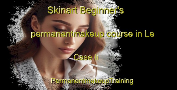 Skinart Beginner's permanentmakeup course in Le Case Ii | #PermanentmakeupTraining #PermanentmakeupClasses #SkinartTraining-Italy