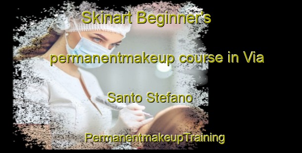 Skinart Beginner's permanentmakeup course in Via Santo Stefano | PermanentmakeupTraining | PermanentmakeupClasses | SkinartTraining-Italy