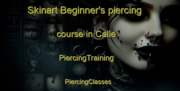 Skinart Beginner's piercing course in Calle | PiercingTraining | PiercingClasses | SkinartTraining-Italy