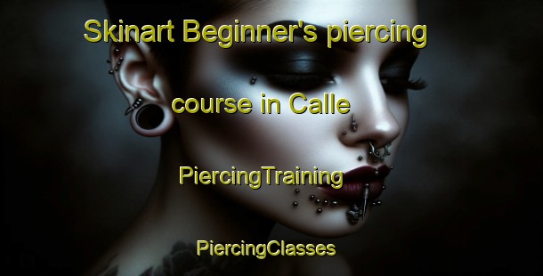 Skinart Beginner's piercing course in Calle | PiercingTraining | PiercingClasses | SkinartTraining-Italy