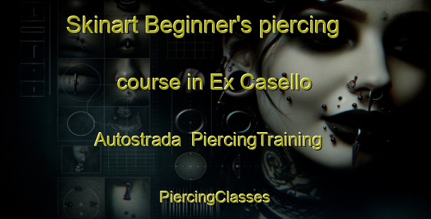 Skinart Beginner's piercing course in Ex Casello Autostrada | #PiercingTraining #PiercingClasses #SkinartTraining-Italy