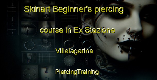 Skinart Beginner's piercing course in Ex Stazione Villalagarina | #PiercingTraining #PiercingClasses #SkinartTraining-Italy