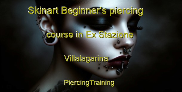 Skinart Beginner's piercing course in Ex Stazione Villalagarina | #PiercingTraining #PiercingClasses #SkinartTraining-Italy