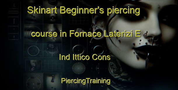 Skinart Beginner's piercing course in Fornace Laterizi E Ind Ittico Cons | PiercingTraining | PiercingClasses | SkinartTraining-Italy