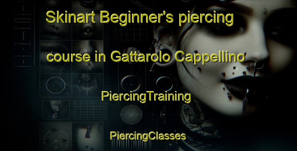 Skinart Beginner's piercing course in Gattarolo Cappellino | #PiercingTraining #PiercingClasses #SkinartTraining-Italy