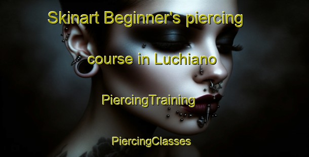 Skinart Beginner's piercing course in Luchiano | PiercingTraining | PiercingClasses | SkinartTraining-Italy
