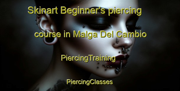 Skinart Beginner's piercing course in Malga Del Cambio | #PiercingTraining #PiercingClasses #SkinartTraining-Italy