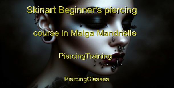 Skinart Beginner's piercing course in Malga Mandrielle | #PiercingTraining #PiercingClasses #SkinartTraining-Italy