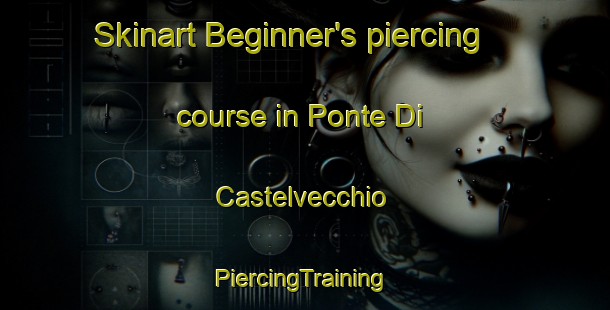 Skinart Beginner's piercing course in Ponte Di Castelvecchio | #PiercingTraining #PiercingClasses #SkinartTraining-Italy