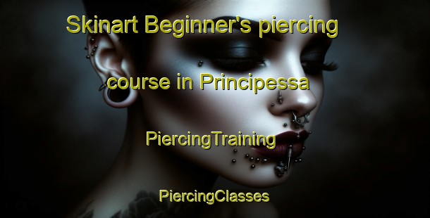 Skinart Beginner's piercing course in Principessa | #PiercingTraining #PiercingClasses #SkinartTraining-Italy