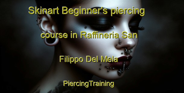 Skinart Beginner's piercing course in Raffineria San Filippo Del Mela | PiercingTraining | PiercingClasses | SkinartTraining-Italy