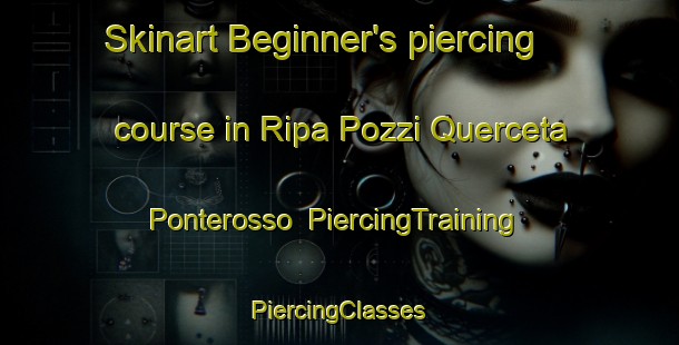 Skinart Beginner's piercing course in Ripa Pozzi Querceta Ponterosso | #PiercingTraining #PiercingClasses #SkinartTraining-Italy