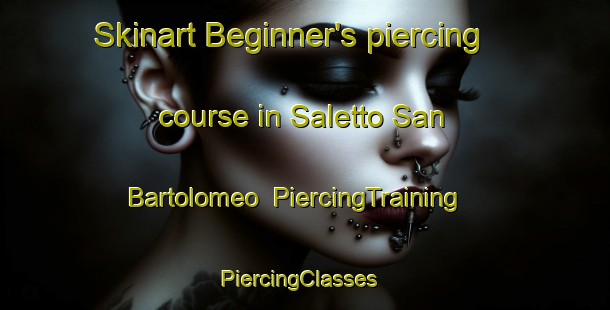 Skinart Beginner's piercing course in Saletto San Bartolomeo | PiercingTraining | PiercingClasses | SkinartTraining-Italy