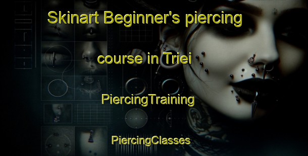 Skinart Beginner's piercing course in Triei | PiercingTraining | PiercingClasses | SkinartTraining-Italy
