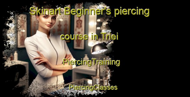 Skinart Beginner's piercing course in Triei | PiercingTraining | PiercingClasses | SkinartTraining-Italy