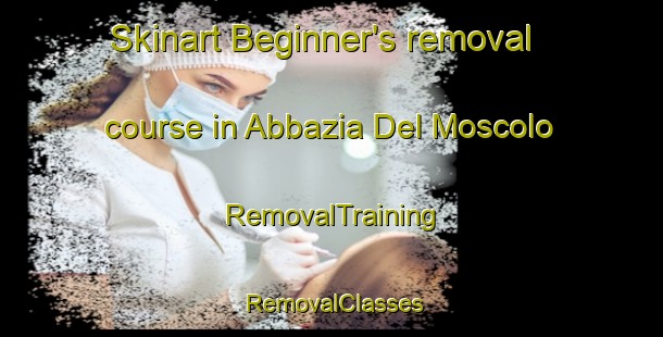 Skinart Beginner's removal course in Abbazia Del Moscolo | RemovalTraining | RemovalClasses | SkinartTraining-Italy