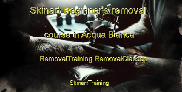 Skinart Beginner's removal course in Acqua Bianca | #RemovalTraining #RemovalClasses #SkinartTraining-Italy