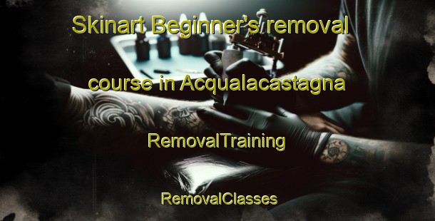 Skinart Beginner's removal course in Acqualacastagna | RemovalTraining | RemovalClasses | SkinartTraining-Italy