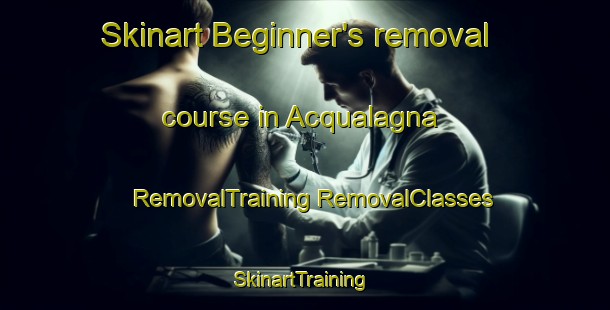 Skinart Beginner's removal course in Acqualagna | #RemovalTraining #RemovalClasses #SkinartTraining-Italy