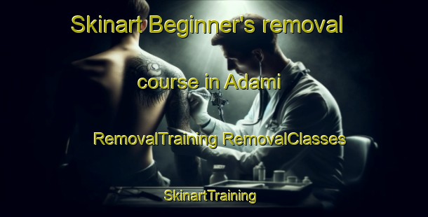 Skinart Beginner's removal course in Adami | #RemovalTraining #RemovalClasses #SkinartTraining-Italy