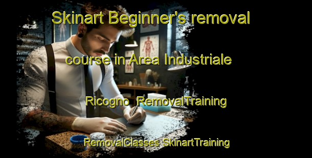 Skinart Beginner's removal course in Area Industriale Ricogno | #RemovalTraining #RemovalClasses #SkinartTraining-Italy