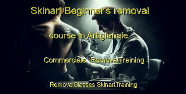 Skinart Beginner's removal course in Artigianale Commerciale | #RemovalTraining #RemovalClasses #SkinartTraining-Italy