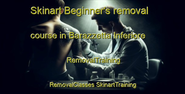 Skinart Beginner's removal course in Barazzetta Inferiore | #RemovalTraining #RemovalClasses #SkinartTraining-Italy