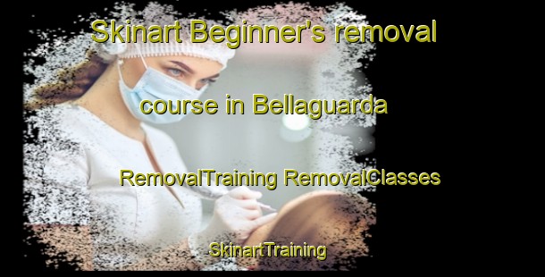 Skinart Beginner's removal course in Bellaguarda | #RemovalTraining #RemovalClasses #SkinartTraining-Italy