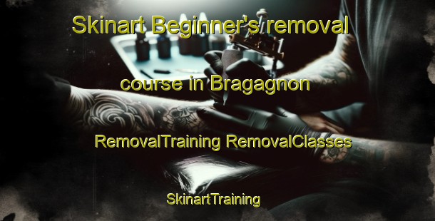 Skinart Beginner's removal course in Bragagnon | #RemovalTraining #RemovalClasses #SkinartTraining-Italy