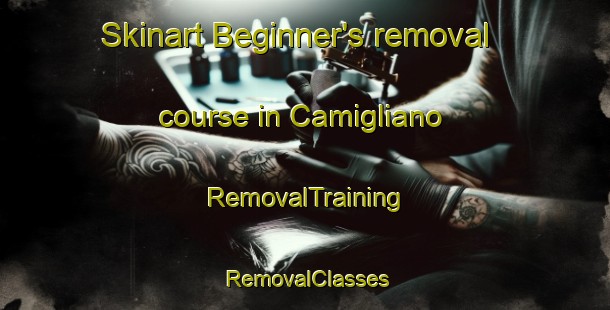 Skinart Beginner's removal course in Camigliano | RemovalTraining | RemovalClasses | SkinartTraining-Italy