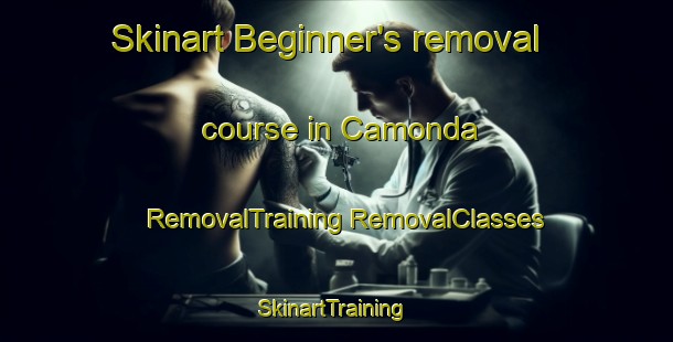 Skinart Beginner's removal course in Camonda | #RemovalTraining #RemovalClasses #SkinartTraining-Italy