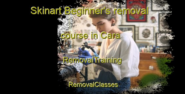 Skinart Beginner's removal course in Cara | RemovalTraining | RemovalClasses | SkinartTraining-Italy