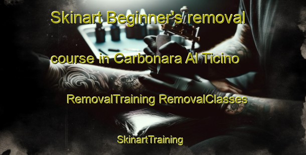 Skinart Beginner's removal course in Carbonara Al Ticino | #RemovalTraining #RemovalClasses #SkinartTraining-Italy