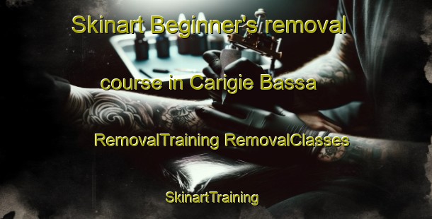 Skinart Beginner's removal course in Carigie Bassa | #RemovalTraining #RemovalClasses #SkinartTraining-Italy