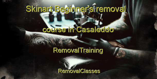 Skinart Beginner's removal course in Casaleddo | RemovalTraining | RemovalClasses | SkinartTraining-Italy