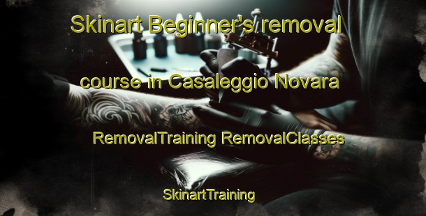 Skinart Beginner's removal course in Casaleggio Novara | #RemovalTraining #RemovalClasses #SkinartTraining-Italy