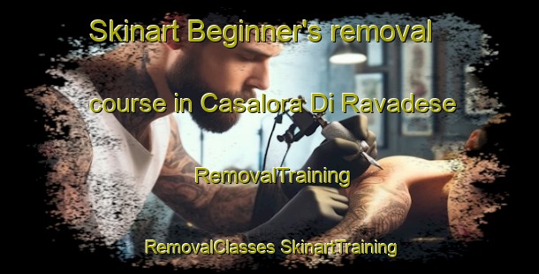 Skinart Beginner's removal course in Casalora Di Ravadese | #RemovalTraining #RemovalClasses #SkinartTraining-Italy