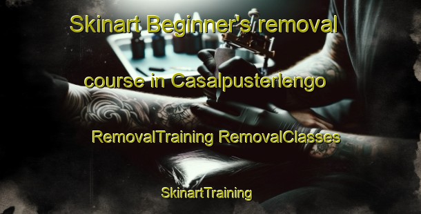 Skinart Beginner's removal course in Casalpusterlengo | #RemovalTraining #RemovalClasses #SkinartTraining-Italy