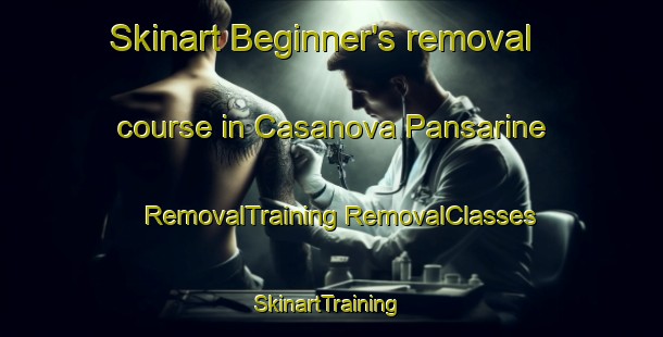 Skinart Beginner's removal course in Casanova Pansarine | #RemovalTraining #RemovalClasses #SkinartTraining-Italy