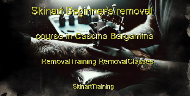 Skinart Beginner's removal course in Cascina Bergamina | #RemovalTraining #RemovalClasses #SkinartTraining-Italy