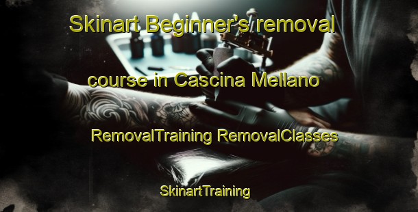 Skinart Beginner's removal course in Cascina Mellano | #RemovalTraining #RemovalClasses #SkinartTraining-Italy