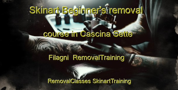 Skinart Beginner's removal course in Cascina Sette Filagni | #RemovalTraining #RemovalClasses #SkinartTraining-Italy